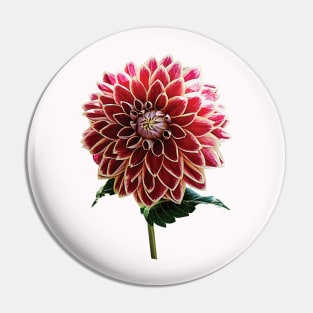 Two-Toned Dahlia Pin