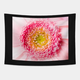 macro pink blossom Tapestry