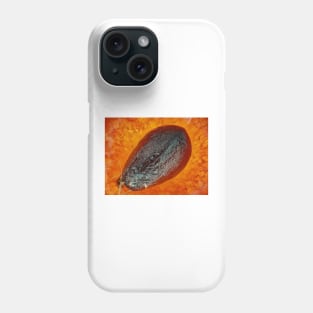 Strawberry "seed" (achene) under the microscope Phone Case