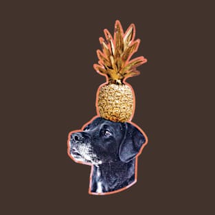 Labrador balancing a pineapple T-Shirt
