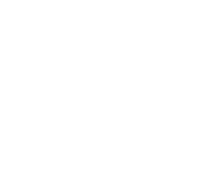 Trump 2020 Campaign Magnet