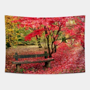 Fallen autumn leaves in the Cotswolds Tapestry