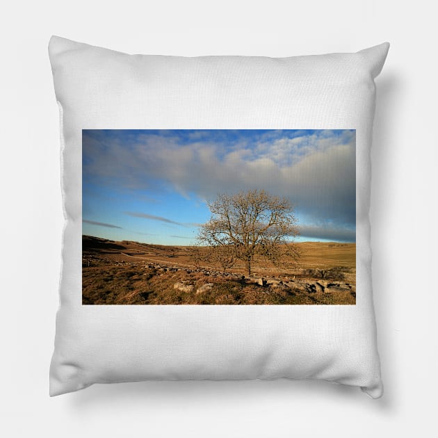 Last Tree Standing Pillow by RoystonVasey