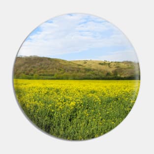 Rapeseed Field by the Hills Pin