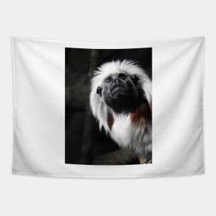 Cotton Top Tamarin Tapestry