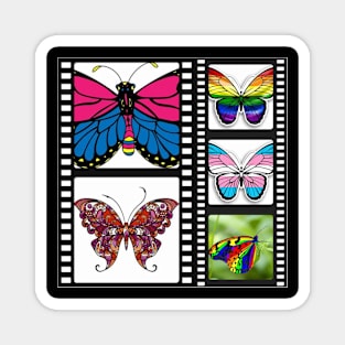 Butterfly Pride Magnet