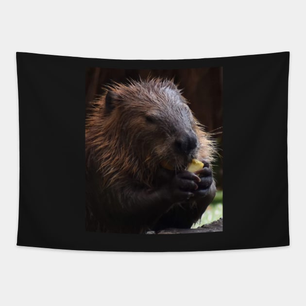 North America Beaver Tapestry by Sharonzoolady