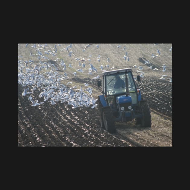 Ploughing Match by orcadia