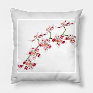 White orchid Pillow