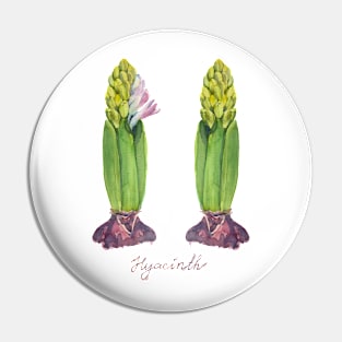 Pink flower of blooming Hyacinth. Watercolor painting. Pin