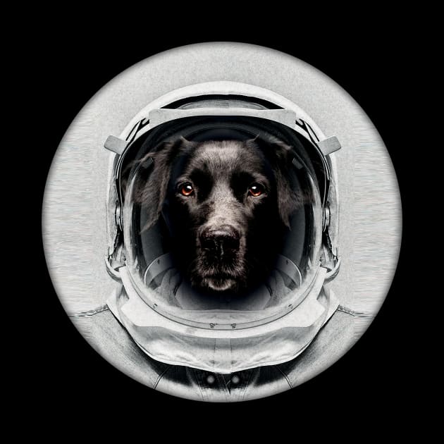 Astronaut Dog by Vin Zzep