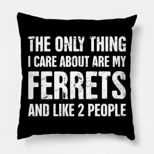 Funny Pet Ferret Quote Pillow