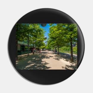 Blue skies,trees and shades at the Olympic park Pin