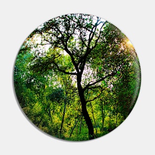 Wonderful curved tree surrounded with lush greenery Pin