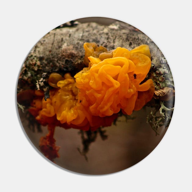 Witches' Butter Mushroom Pin by Rebekah Slick