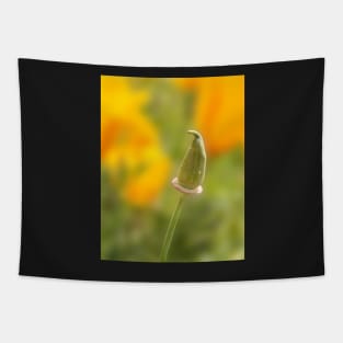 California Poppy Bud Tapestry