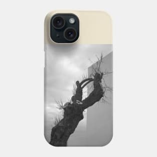 Albero vivo, 2017 Phone Case