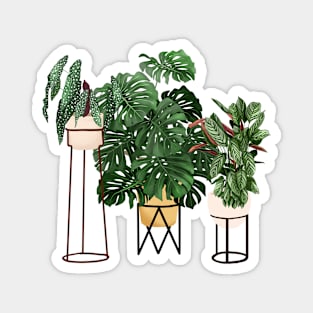 Potted Plants 12 Magnet