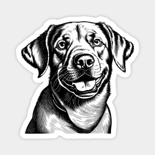 Vintage Labrador Retriever Monochromatic Illustration Old School Magnet