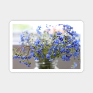 Flower Forget me not up close Magnet