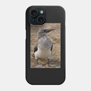 Gannet Chick Phone Case