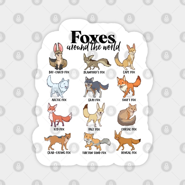 Foxes around the world - types of foxes Magnet by Modern Medieval Design