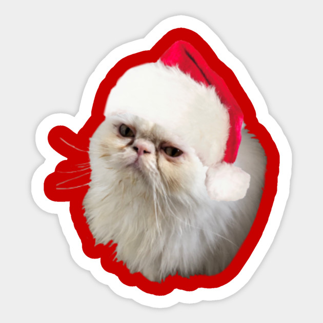 Christmas Santa Hat Cat Cat Persian Cats Sticker Teepublic
