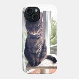 Tabby on a Tower Phone Case