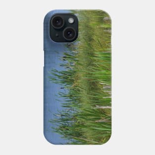 Crimson Lake. Phone Case