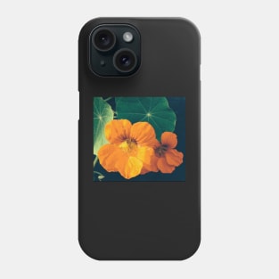 Cheerul Orange Nasturtium and the Star Leaf Phone Case