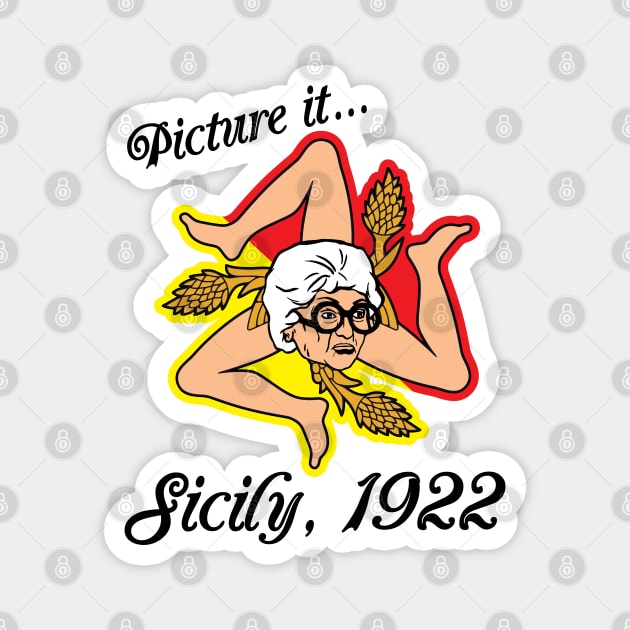 Picture It... Sophia Sicily Flag Magnet by darklordpug