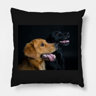 Retrievers Pillow