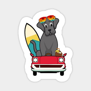 Funny Big Dog is driving to the beach Magnet