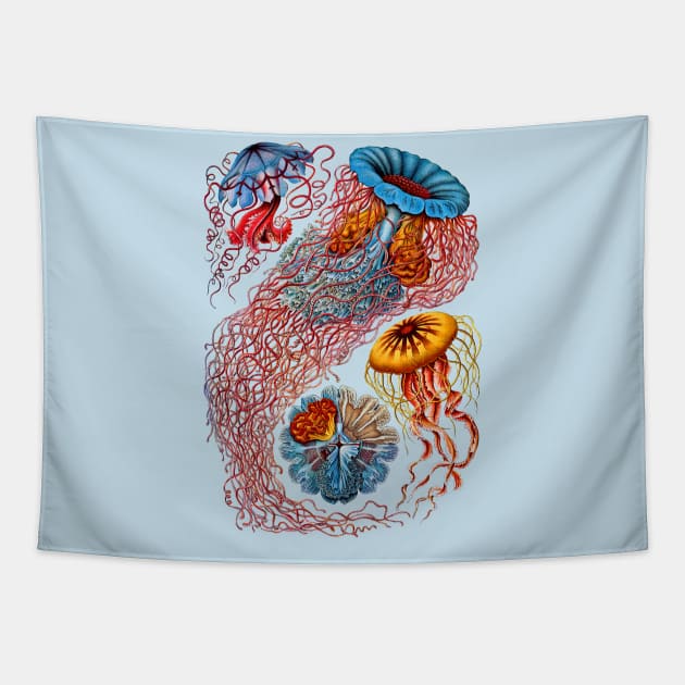 Ernst Haeckel Jellyfish Discomedusae Tapestry by Scientistudio