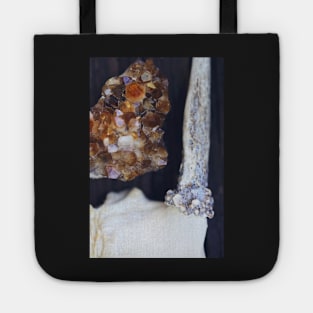 Citrine and Bone Tote