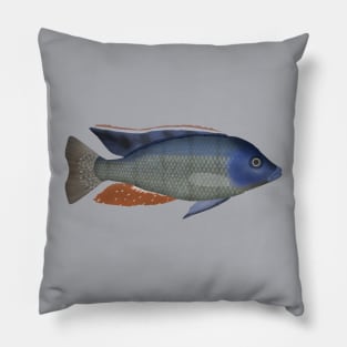 Malawi Eyebiter Pillow