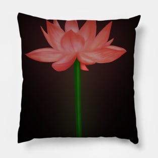 A lotus Pillow