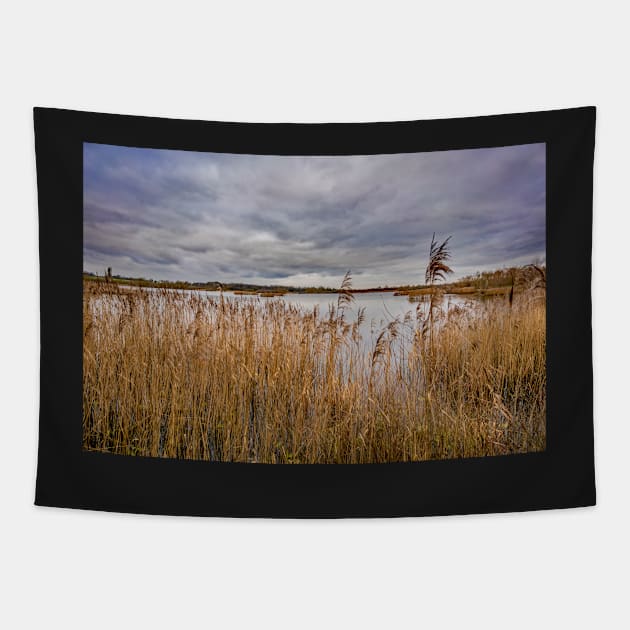 Rockland Broad, Norfolk Broads National Park Tapestry by yackers1