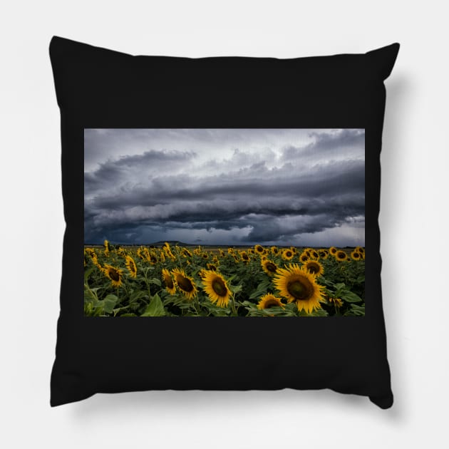 Summer on the Downs Pillow by krepsher