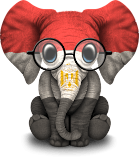 Baby Elephant with Glasses and Egyptian Flag Magnet