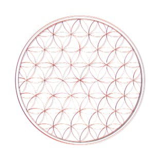 flower of life T-Shirt