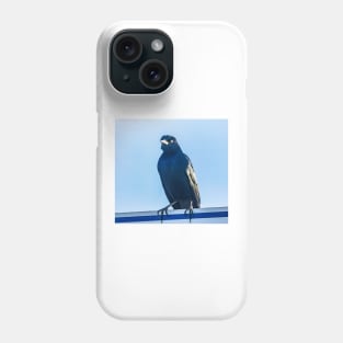 Boat-tailed Grackle 2 Phone Case