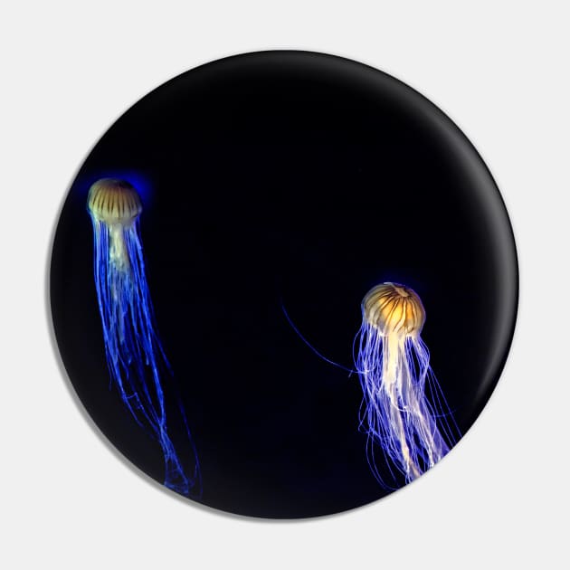 Two Jellyfish Pin by Mabocoh