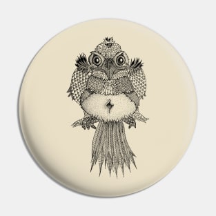 Nighttime Bird Pin