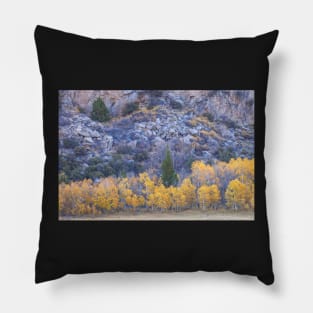 Fall at Foothill Pillow