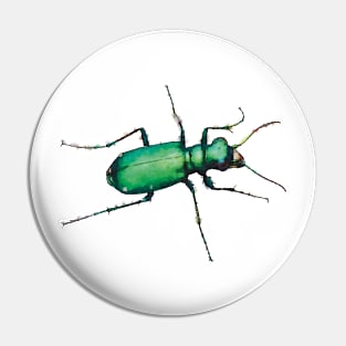 Six-spotted Tiger Beetle Pin