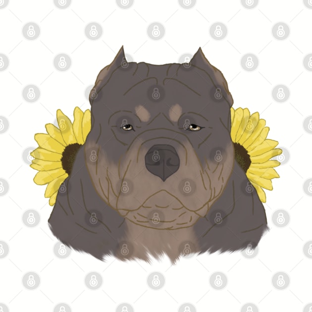 Isabella Tan American Bully with Sunflowers by TrapperWeasel