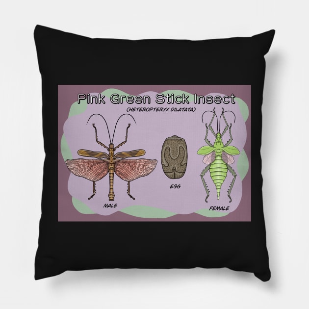 Pink green stick insect (heteropteryx dilatata) Poster Pillow by Artbychb