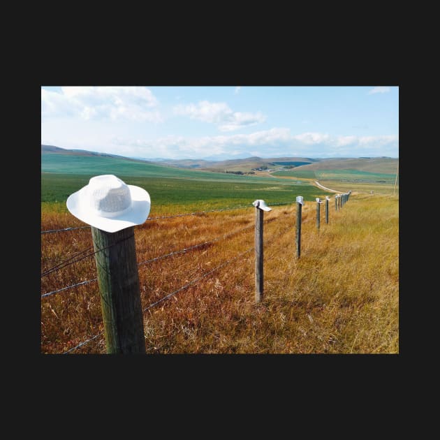 Landscape scenery in Canadian prairie, Alberta, Canada. by Nalidsa