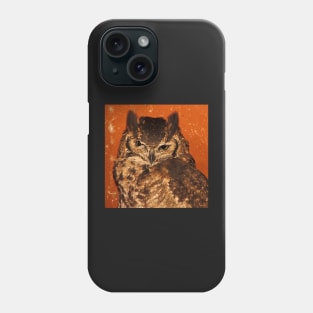 Giant Eagle Owl, Arusha, Tanzania, East Africa Phone Case